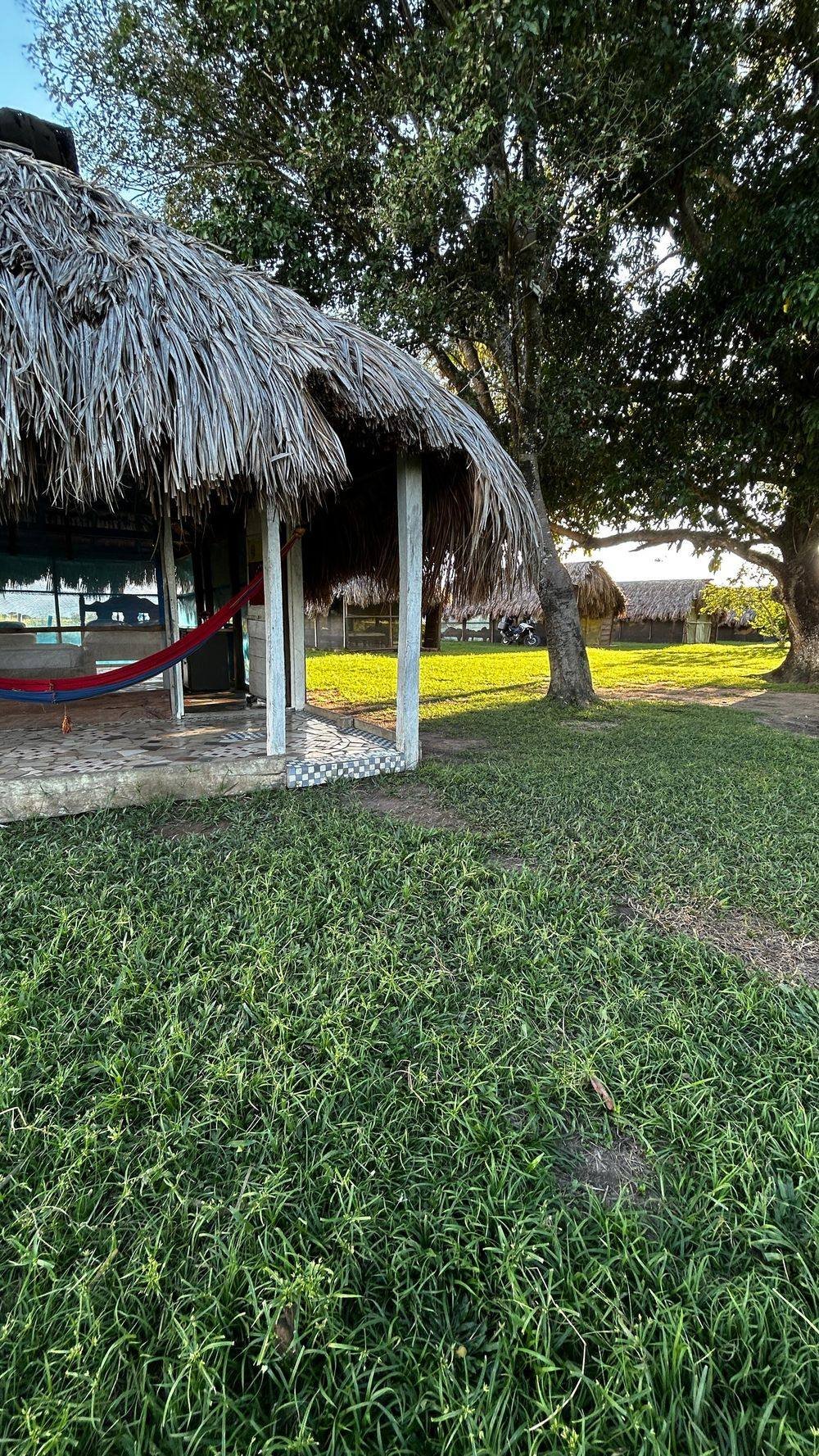 Palm-thatched cabins at El Oasis
