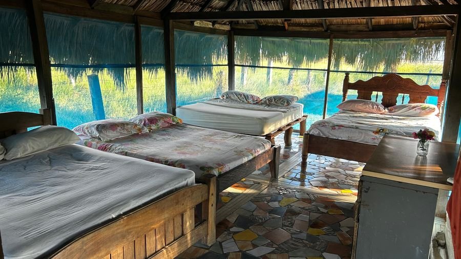 Cabin interior with beds